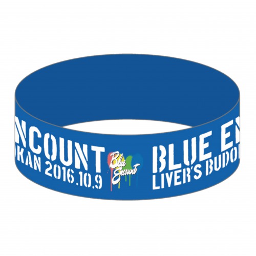 LIVER'S武道館ラババン